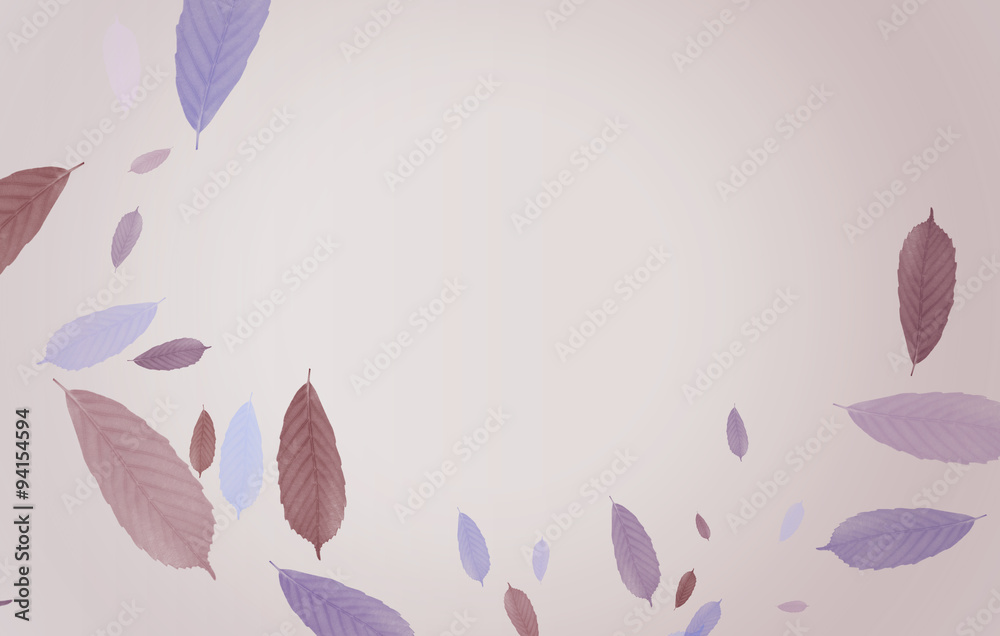 Fototapeta premium 舞う葉No.9