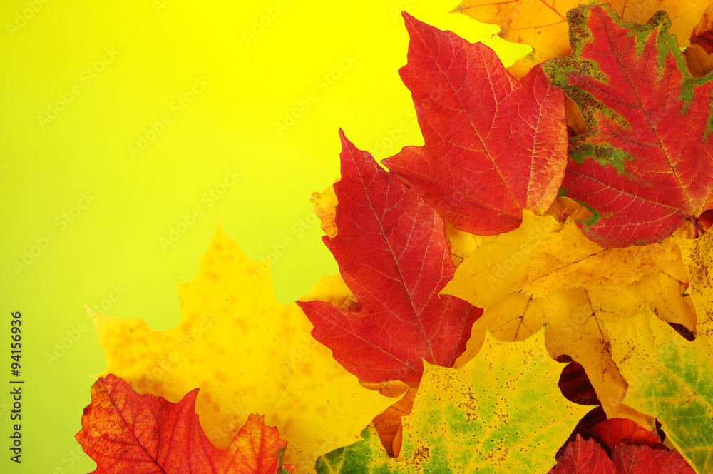 autumn leaves background autumn leaves background