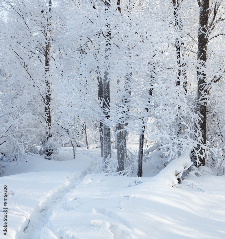 Winter landscape. Cold winter evening Winter landscape. Cold winter evening