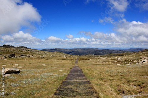 Mt. Kosciuszko