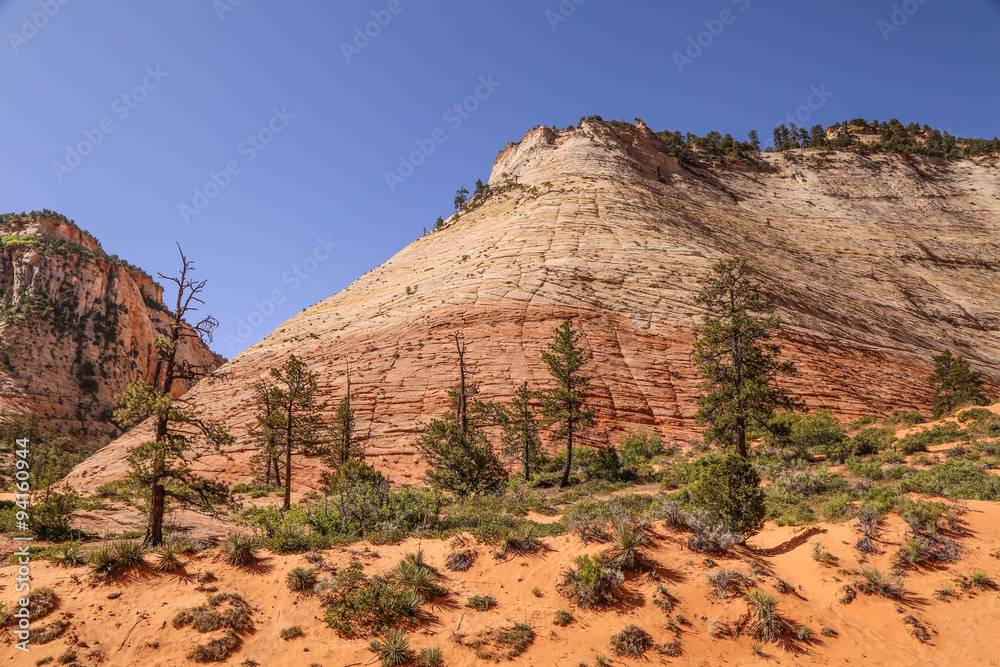 Fototapeta premium beeindruckende rot weiße Felsformationen im Westen Amerikas