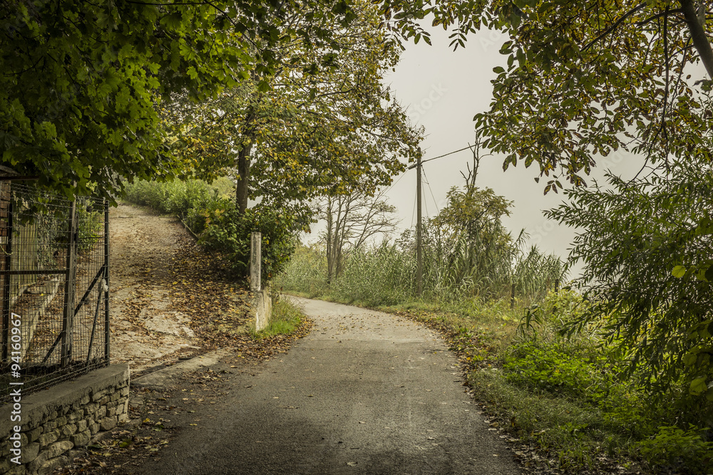 Fototapeta premium strada di campagna in autunno