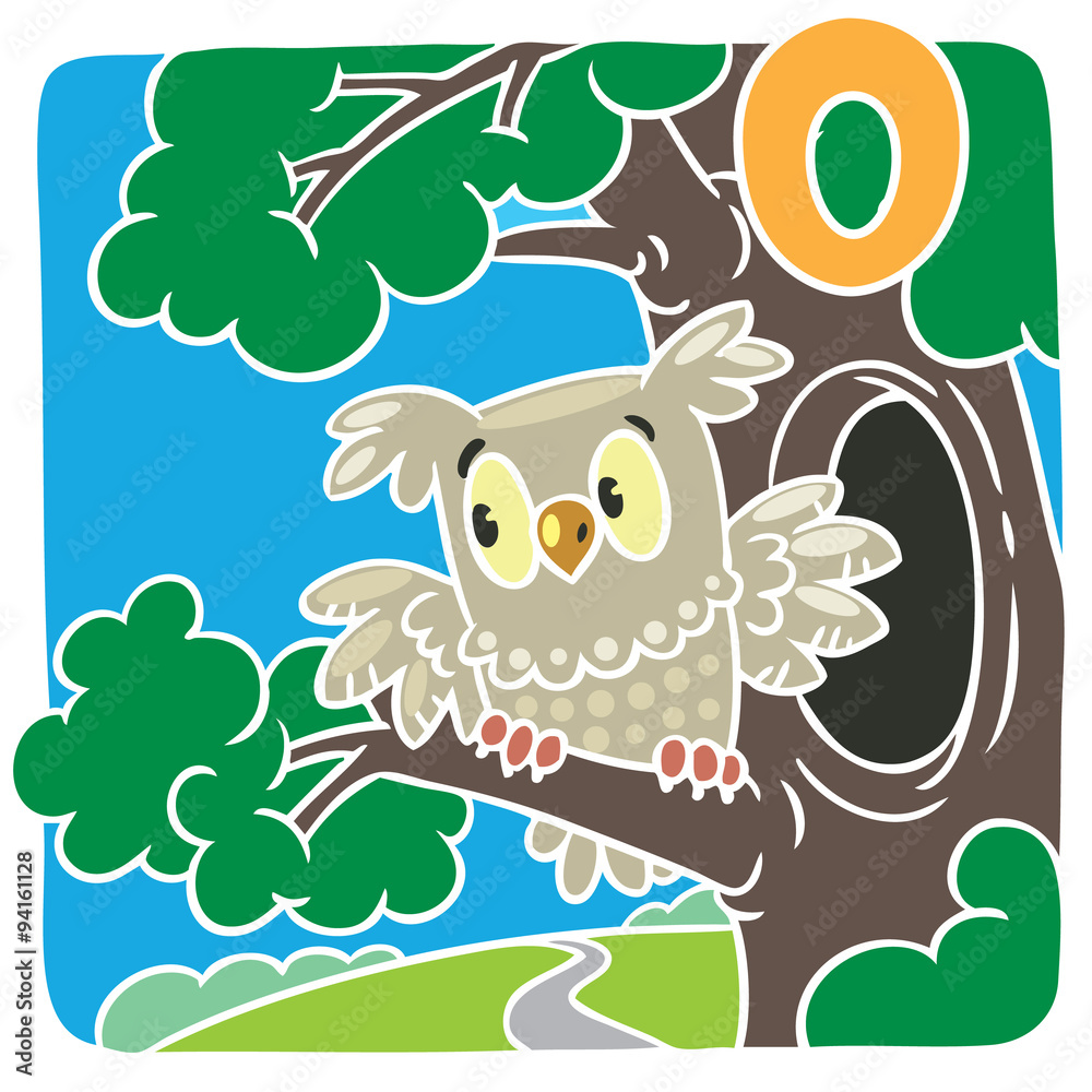 Fototapeta premium Little owl. Alphabet O
