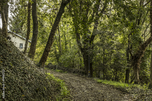 strada di campagna in autunno