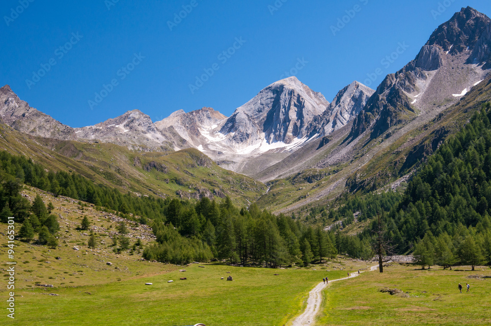 Gebirgskamm in Südtirol