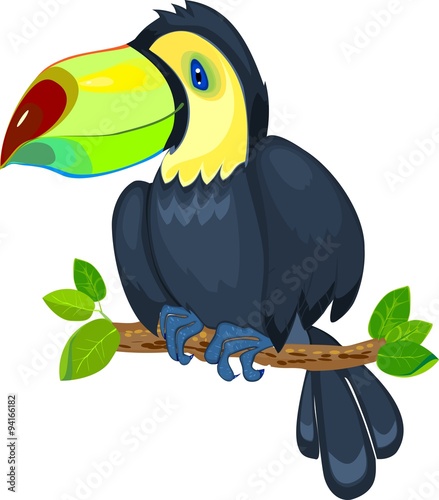 Cute toucan sitting on tree branch