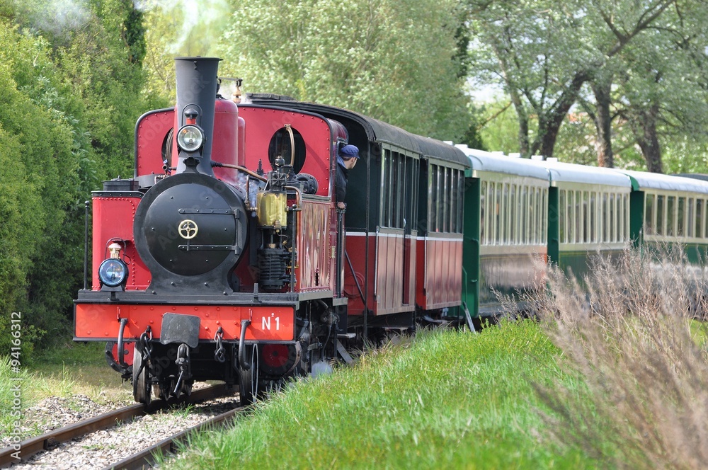 Naklejka premium Pociąg parowy na wsi