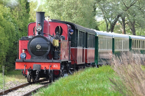 Train à vapeur dans la campagne