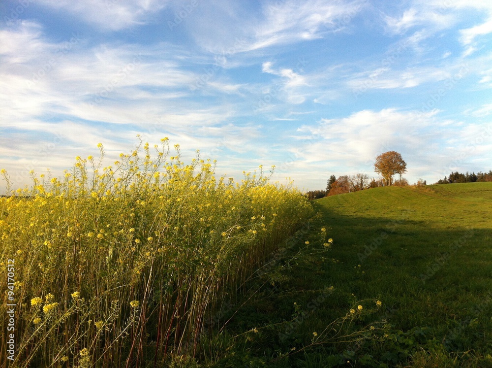 Fototapeta premium Bunter Herbst