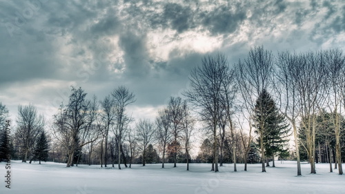 Wallpaper Mural Snow Scene HDR Timelapses. 3 separate time-lapse shots of a snowy scene with trees and a ominous sky. Torontodigital.ca