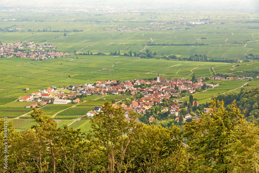 Southern wine route, Rhineland-Palatinate