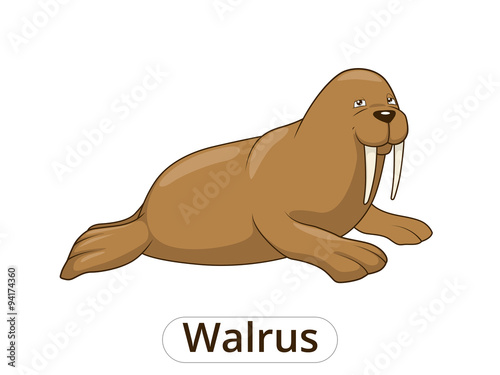Walrus cartoon vector illustration