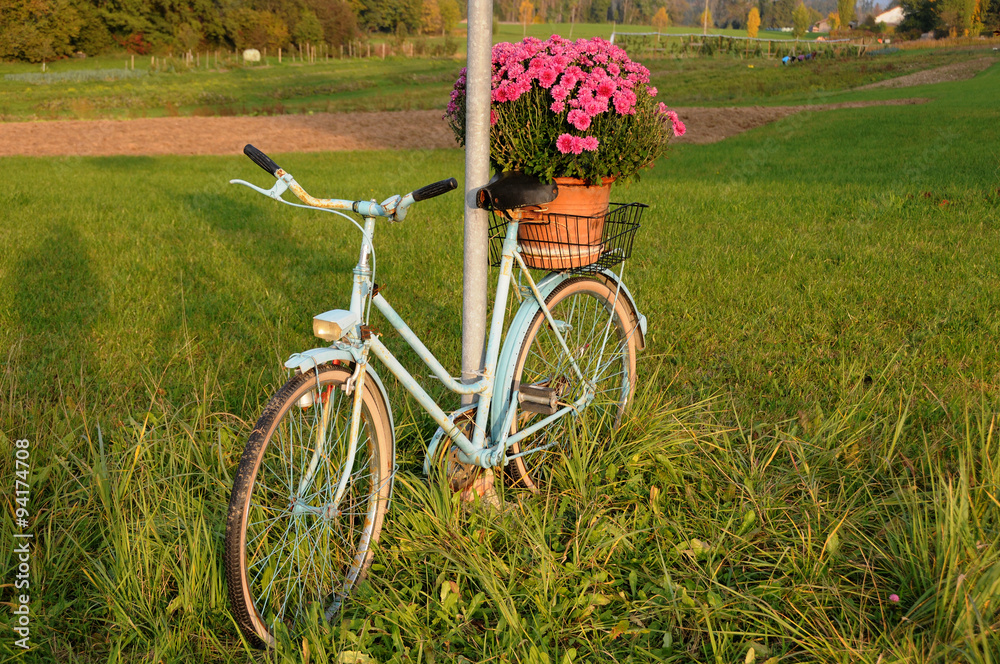 Fototapeta premium Fahrrad