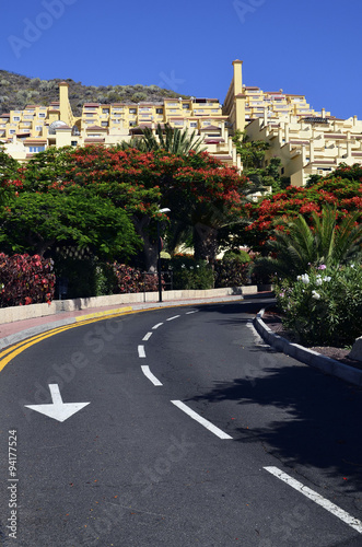Road in tropical park,Tenerife,Canary Islands.