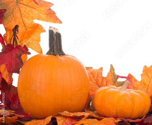Fall Decorative Border With Pumpkins and Colorful Leaves