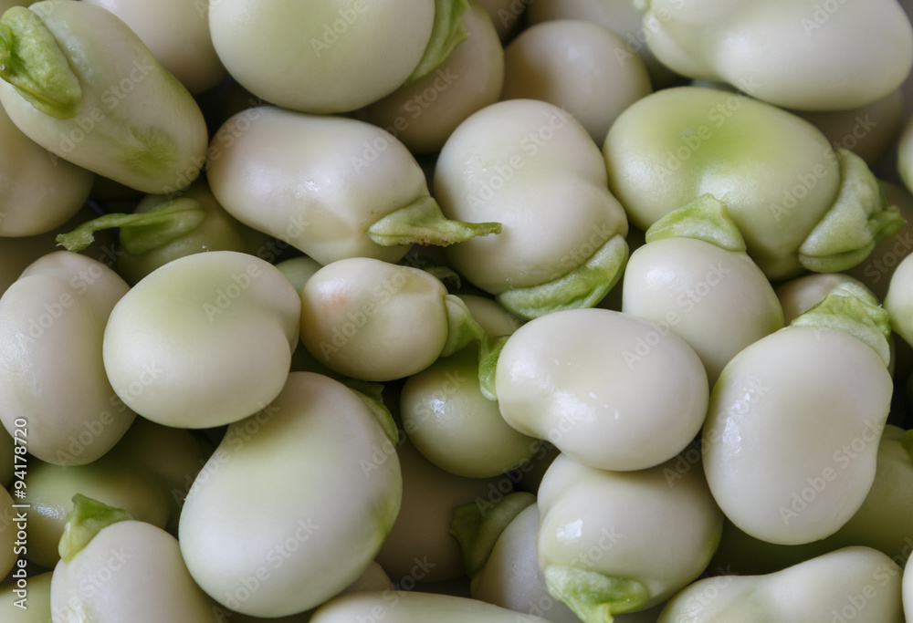 Shelled broad beans Shelled broad beans