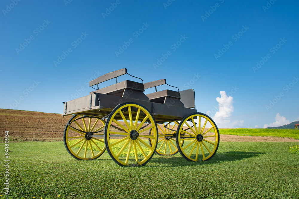 carriage on green grass at Clear sky