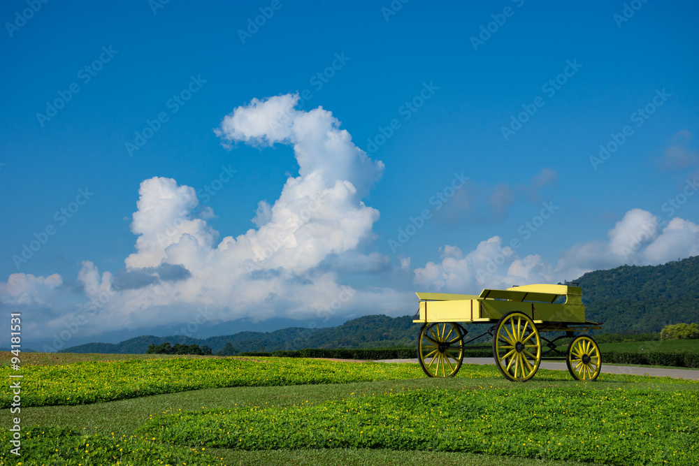 carriage on green grass at Clear sky carriage on green grass at Clear sky