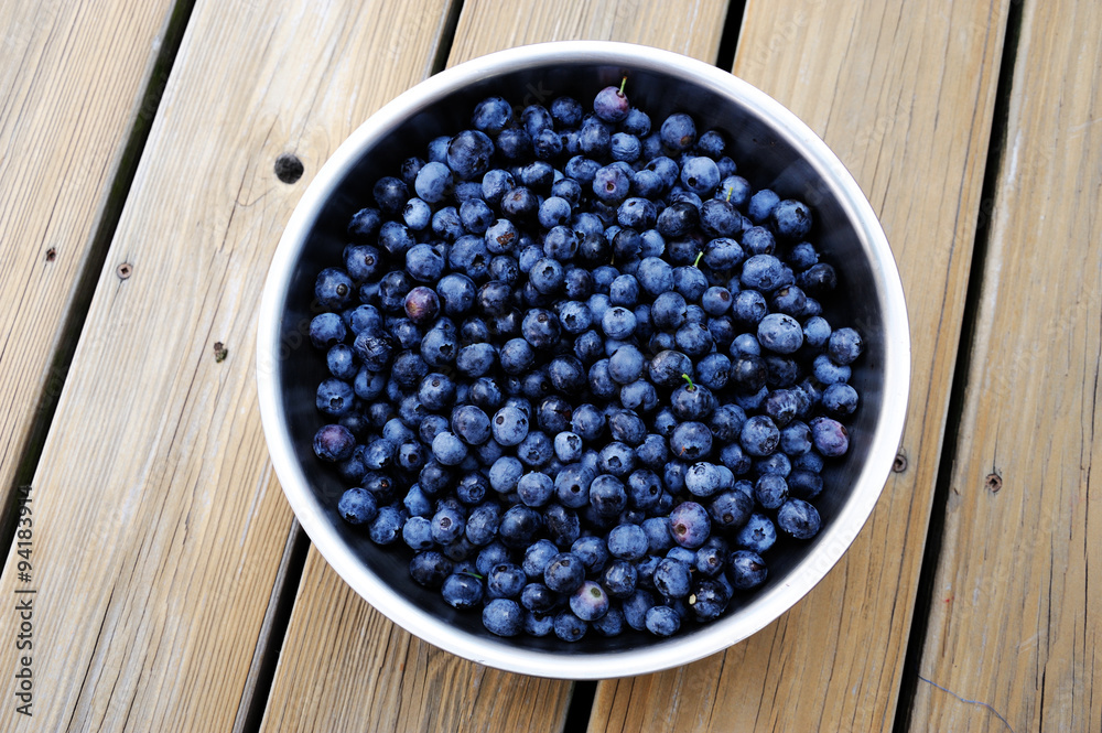 blueberries in container blueberries in container