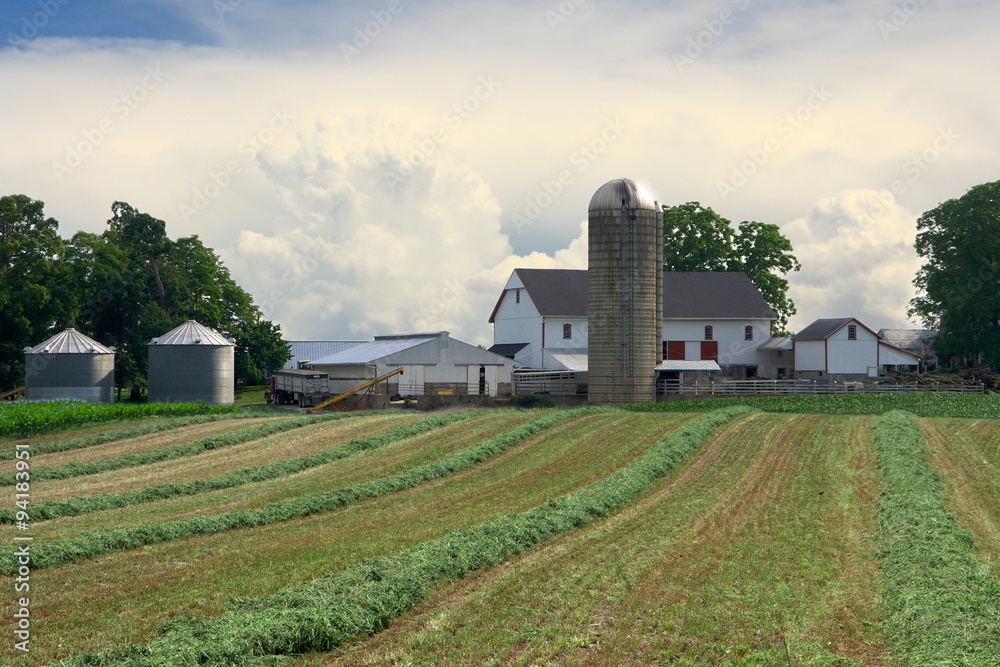 Farm and Crops