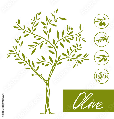 Set of olive tree icons. Vector element