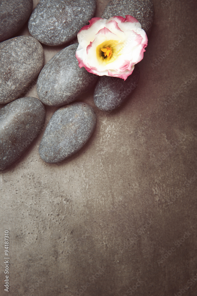 Spa stones and flower on grey background