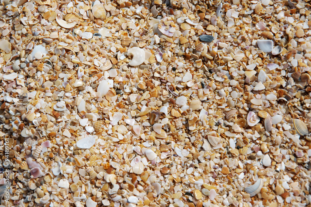 Crushed seashells background Crushed seashells background