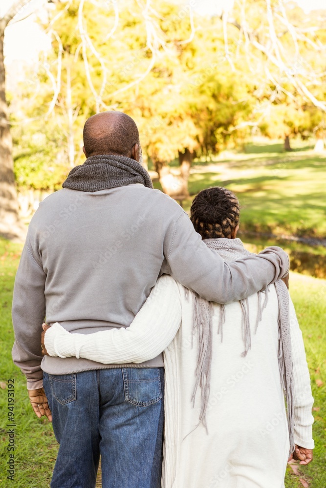 Rear view of senior peaceful couple Rear view of senior peaceful couple