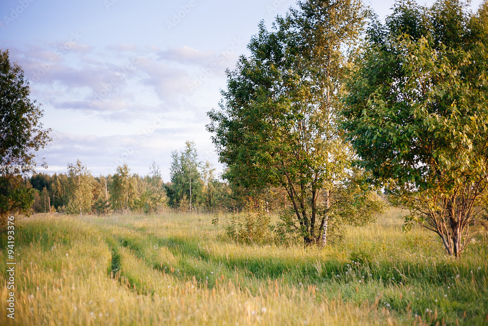 Spring summer background - rural road in green grass field meado