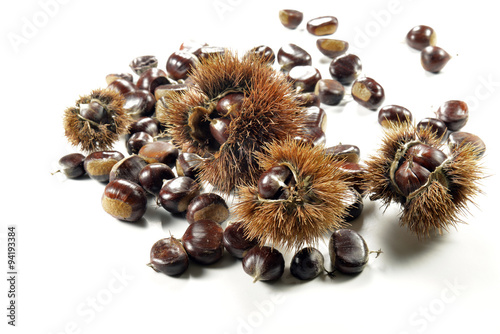 Chestnuts and Urchins on white plane