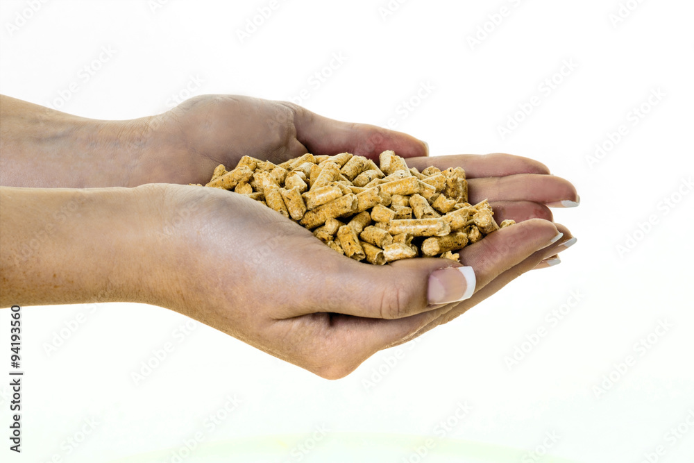 Hand mit Pellets als alternatie Energie Hand mit Pellets als alternatie Energie