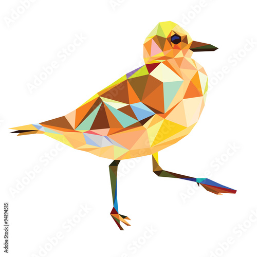 low poly bird vector