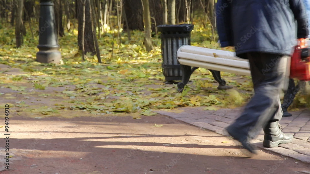 cleaning of fallen leaves in the park with a vacuum cleaner cleaning of fallen leaves in the park with a vacuum cleaner