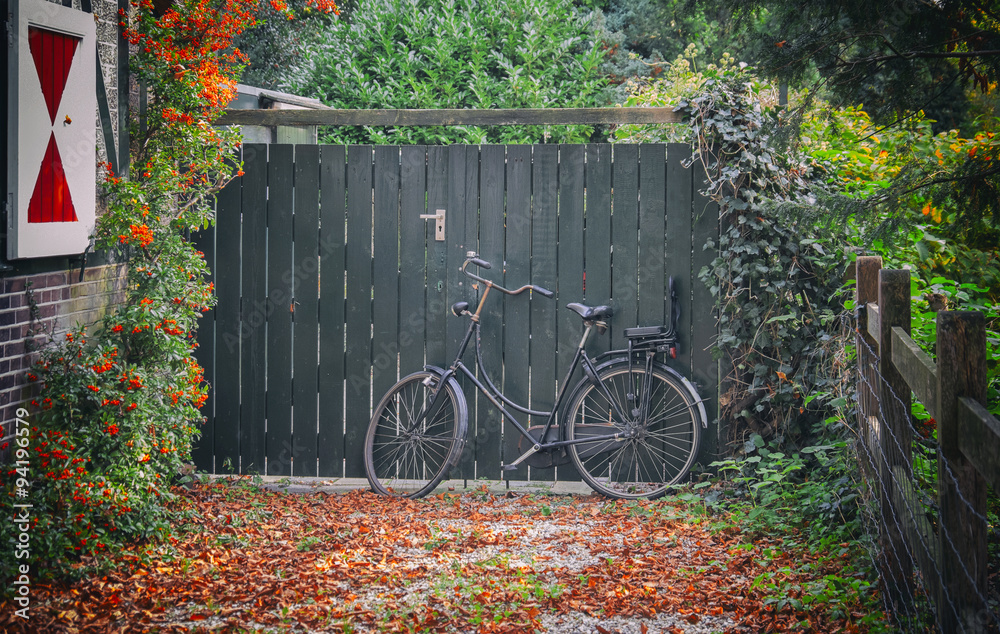 dutch autumn with bike