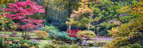 Photography autumn  in Japanese park, panorama