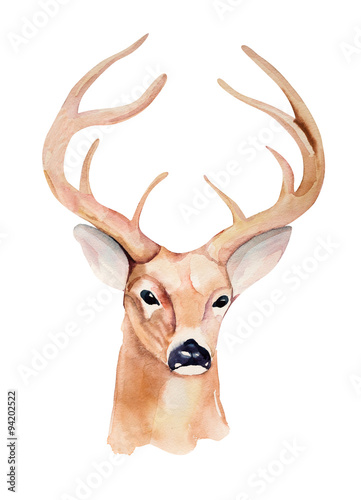 Watercolor deer head. Design for T-shirt. Handmade illustration.