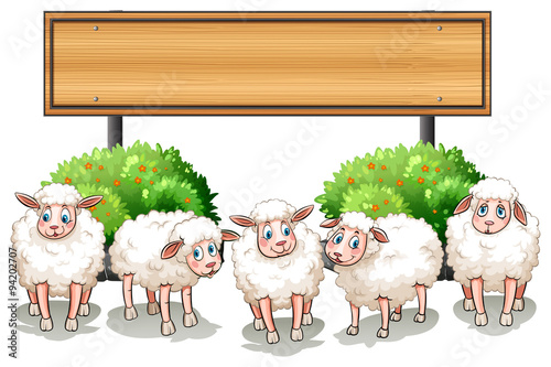 Sheeps and wooden sign