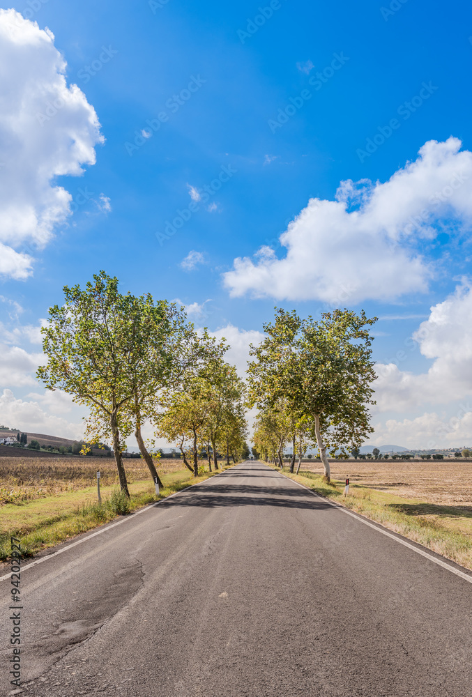 Fototapeta premium Paved road in the Tuscan countryside