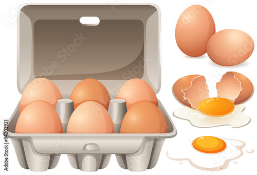 Raw chicken eggs and yolk