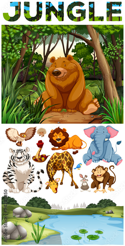 Naklejka premium Wild animals living in the jungle
