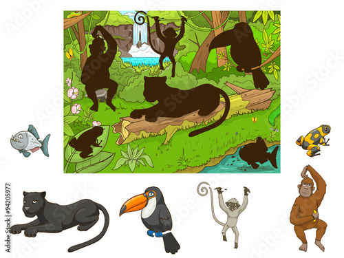 Jungle cartoon educational game find animal vector