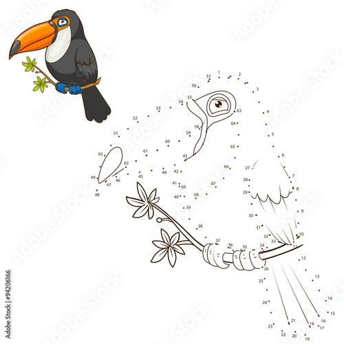 Draw the animal toucan educational game vector