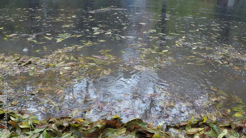 Rain on a city street in autumn. Rain on a city street in autumn.