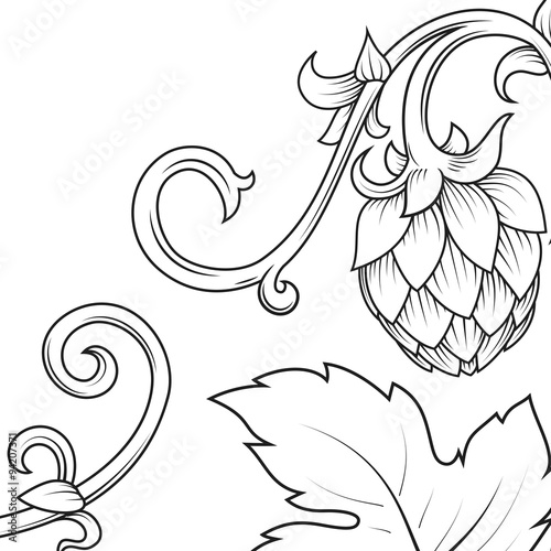 Hops ornament vector illustration