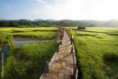 Rural Green rice fields and bamboo bridge. Place name Sutongpe Bridge. the longest wooden bridge located in Mae Hong Son province The Northern of Thailand. photo