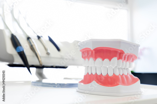 Fényképezés Clean teeth denture, dental jaw model in dentist's office.