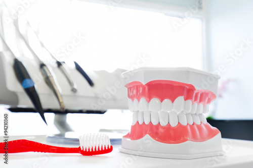 Fotografija Clean teeth denture, dental jaw model and toothbrush in dentist's office