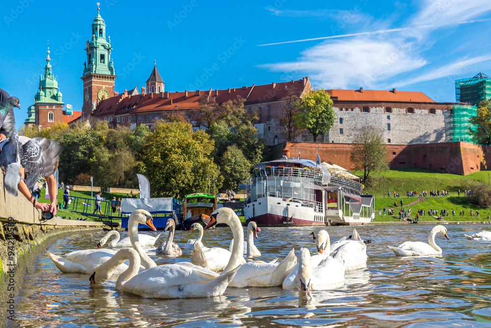 Naklejka premium Wawel castle in Krakow