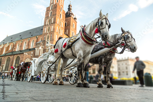 Horse carriages at main square in Krakow