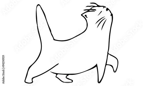 Гордая кошка уходит